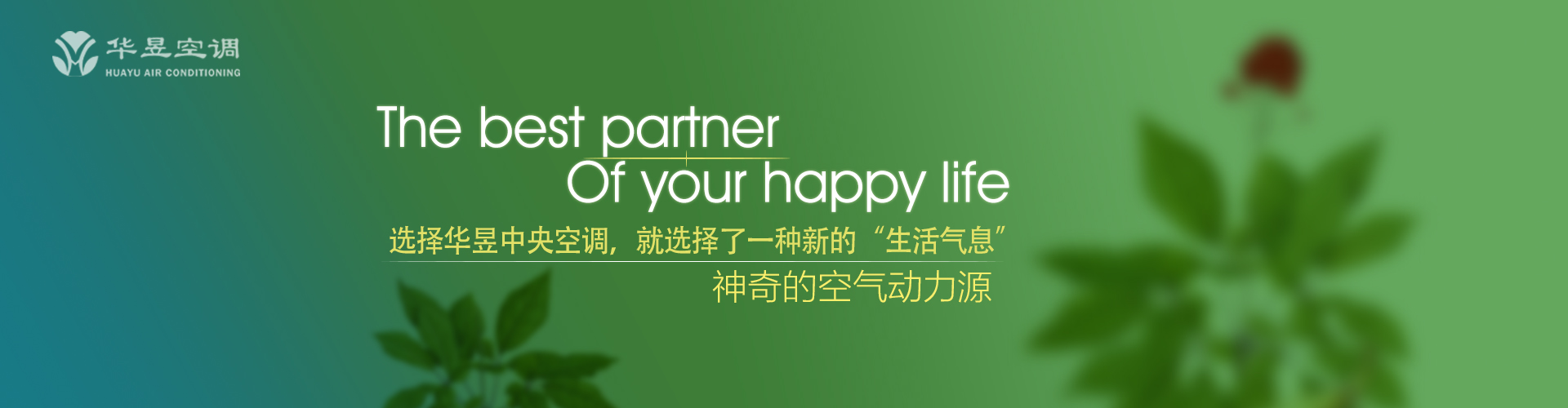 灯蛾扑火网